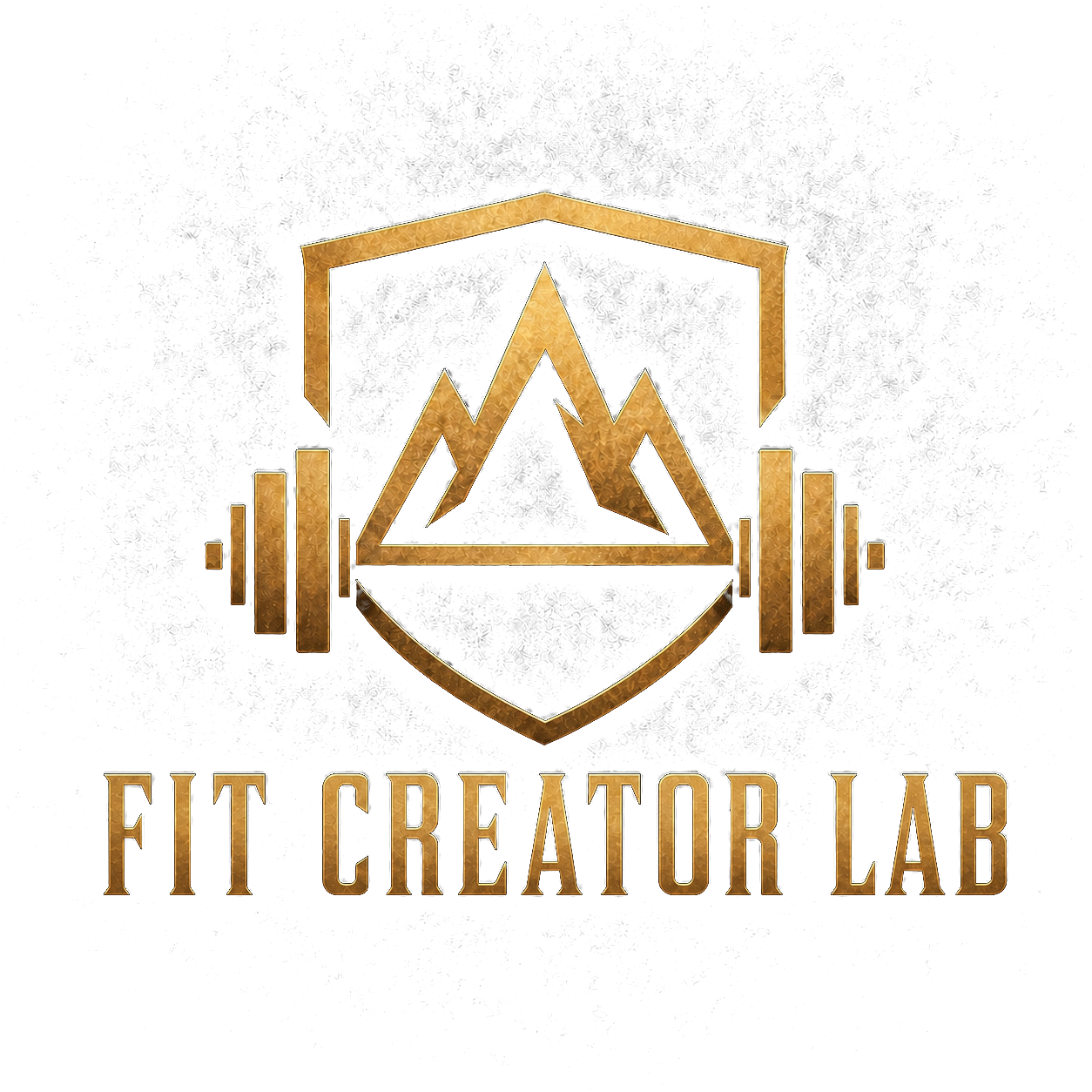 Fit Creator Lab